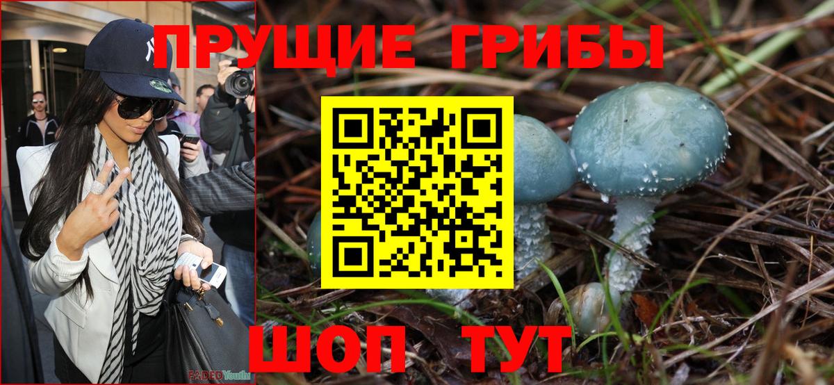 Галлюциногенные грибы Magic Shrooms  Вход с VPN  Приморско-Ахтарск  Псилоцибиновые грибы прущие грибы 